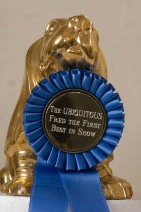 Best in Show Closeup